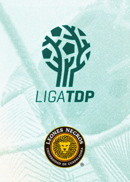 Liga TDP - Leones Negros
