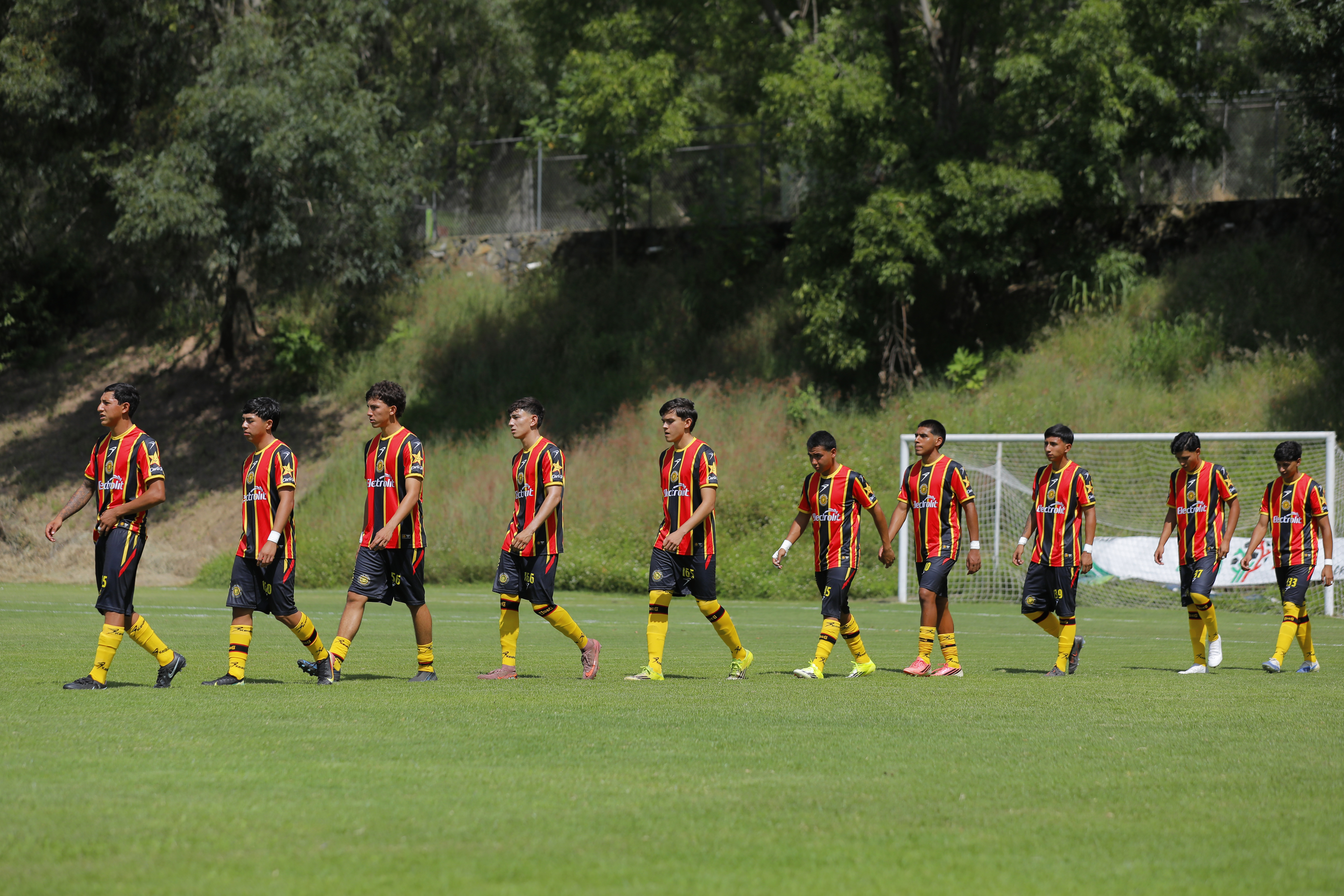 Leones Negros TDP 