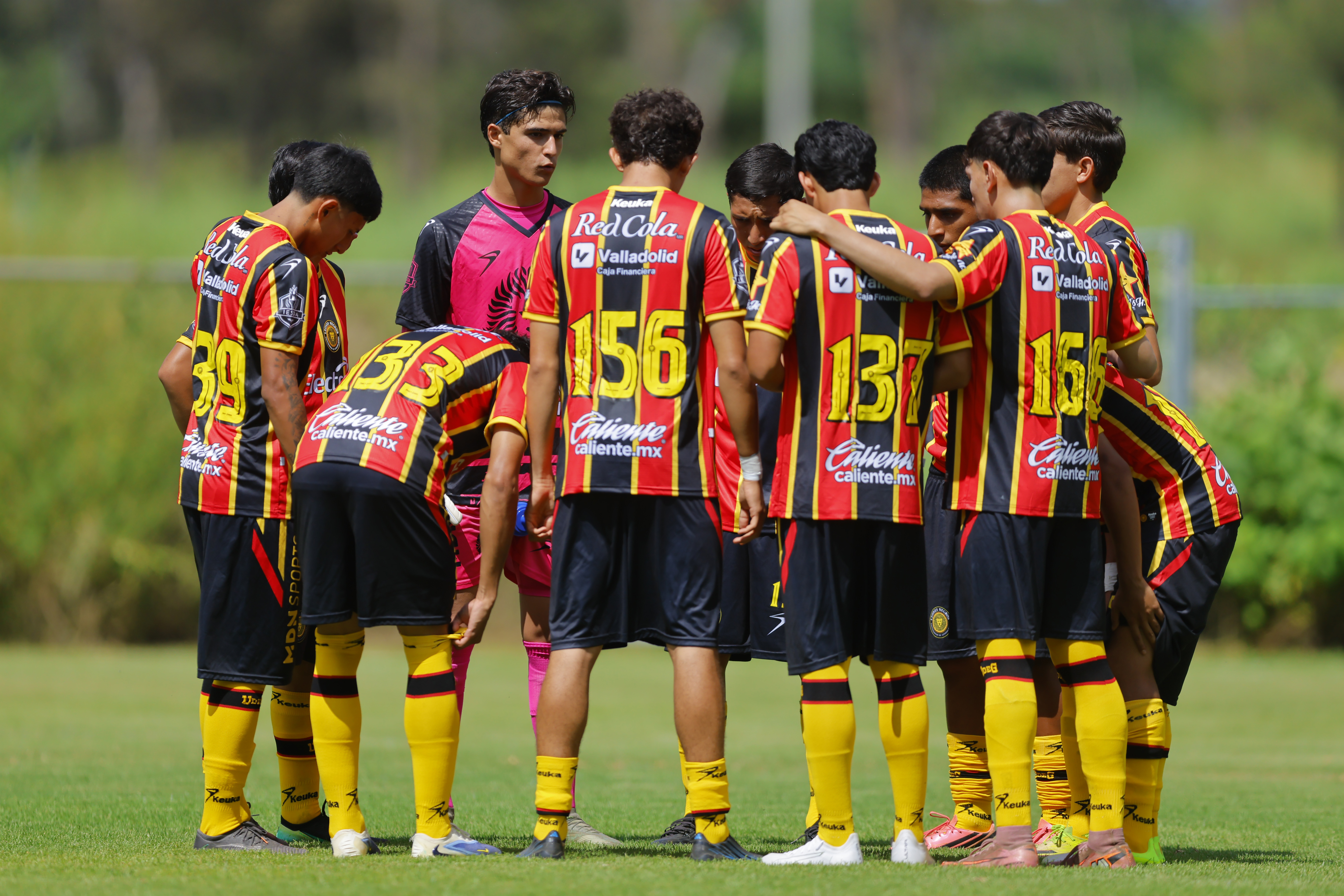 Leones TDP
