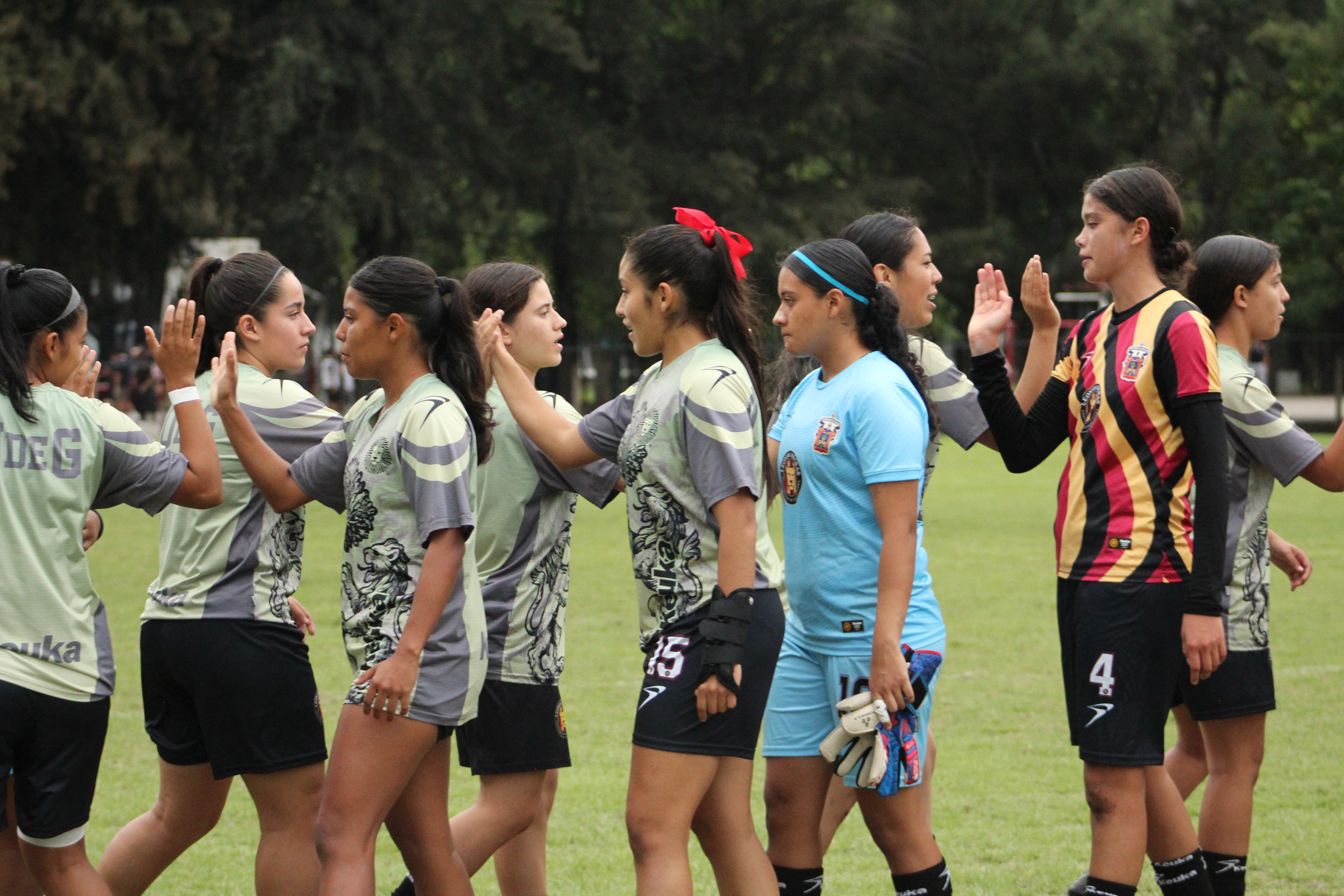 Leonas Negras 