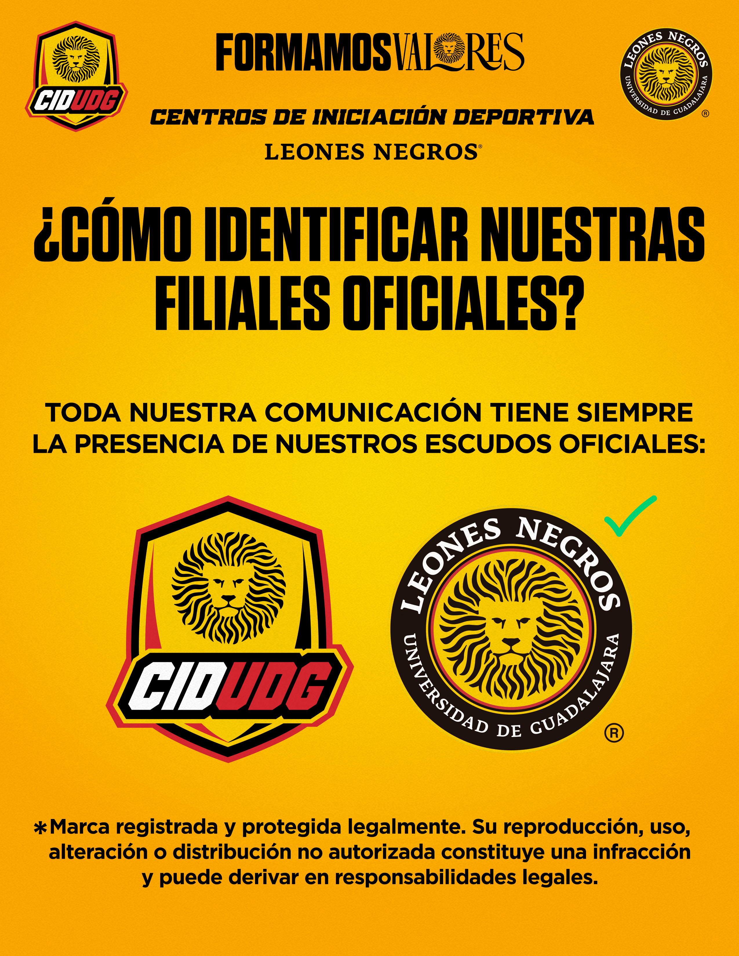Identifica 1