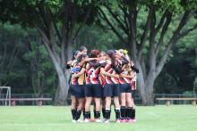 Leonas Negras 
