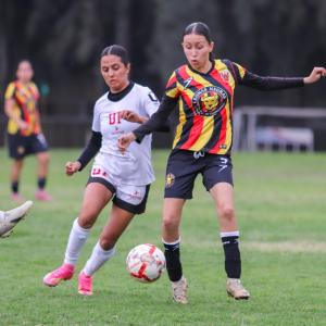 Leonas Negras vs Panteras de la UP
