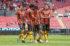 Leones celebrando un gol 