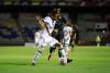 Leones 2 